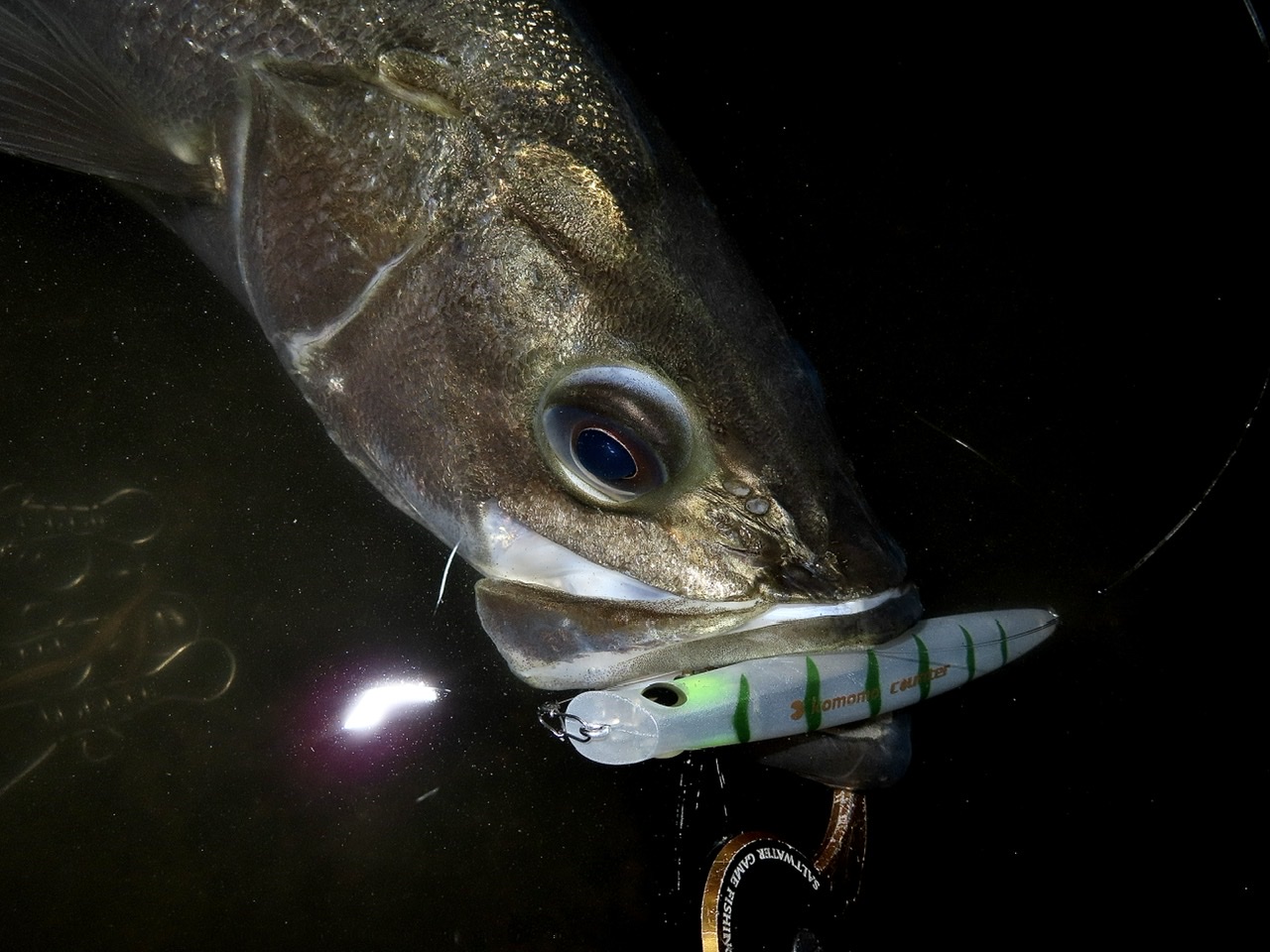 Komomo 110s Counter Ima For Your Lush Life Komomo 110s Counter Ima For Your Lush Life