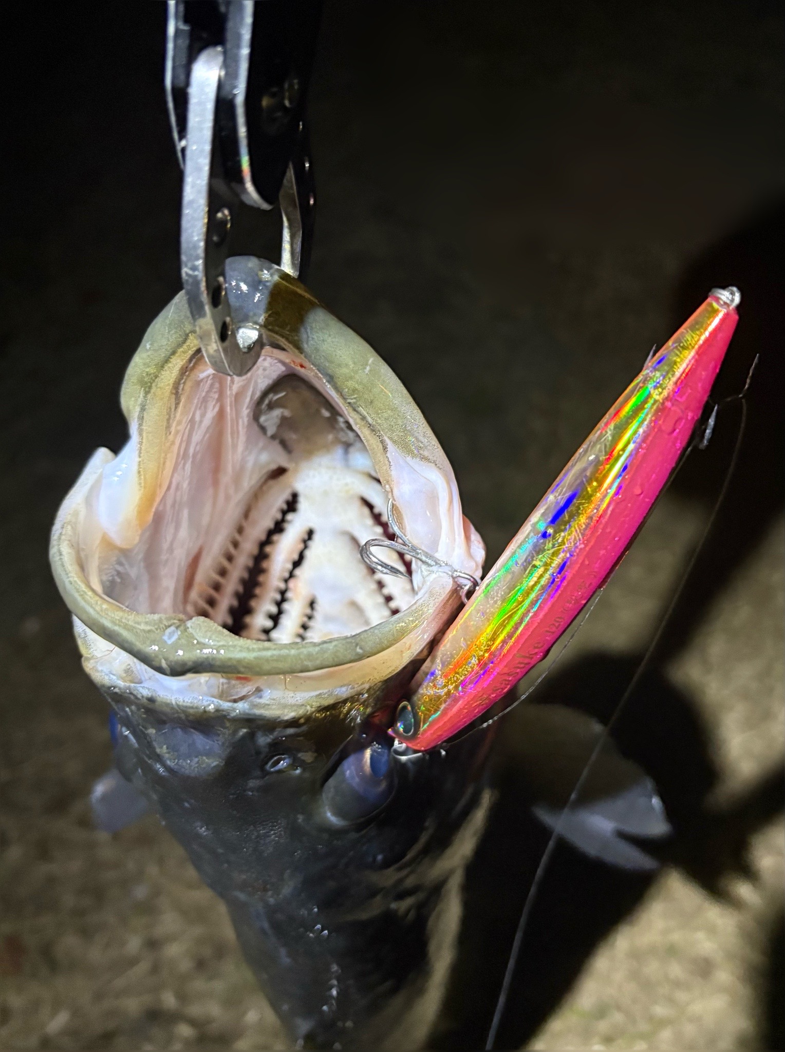 sasuke 120 裂空 / ima - For Your Lush Life.