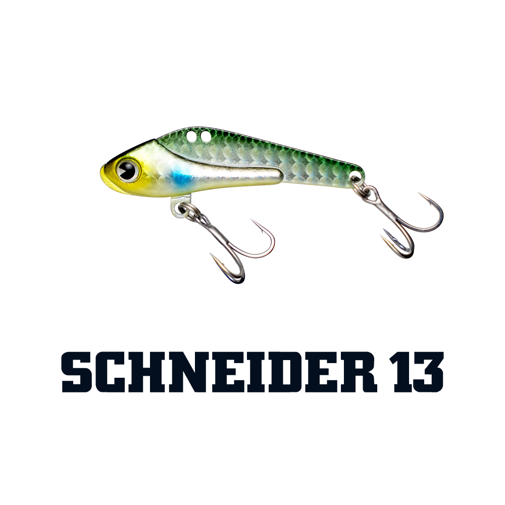 SCHNEIDER 13