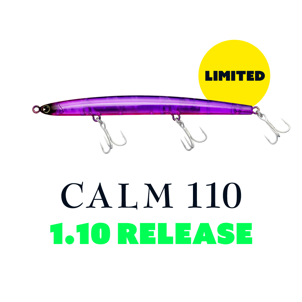 CALM 110