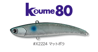 kawasuzuki_koume80