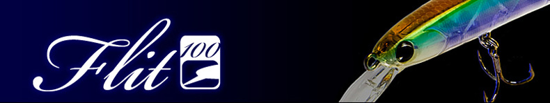 fl100_top