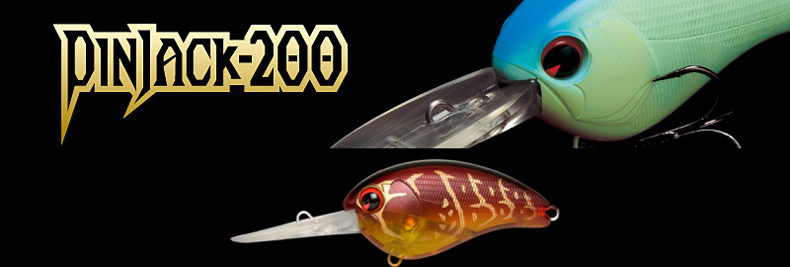 pj200_top
