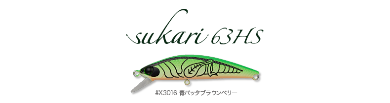 insectc_sakari63hs