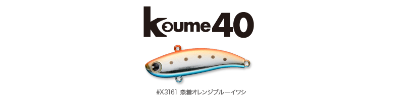 summer_koume40