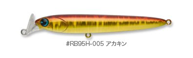 rb95h_005