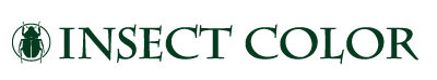 insectc_logo