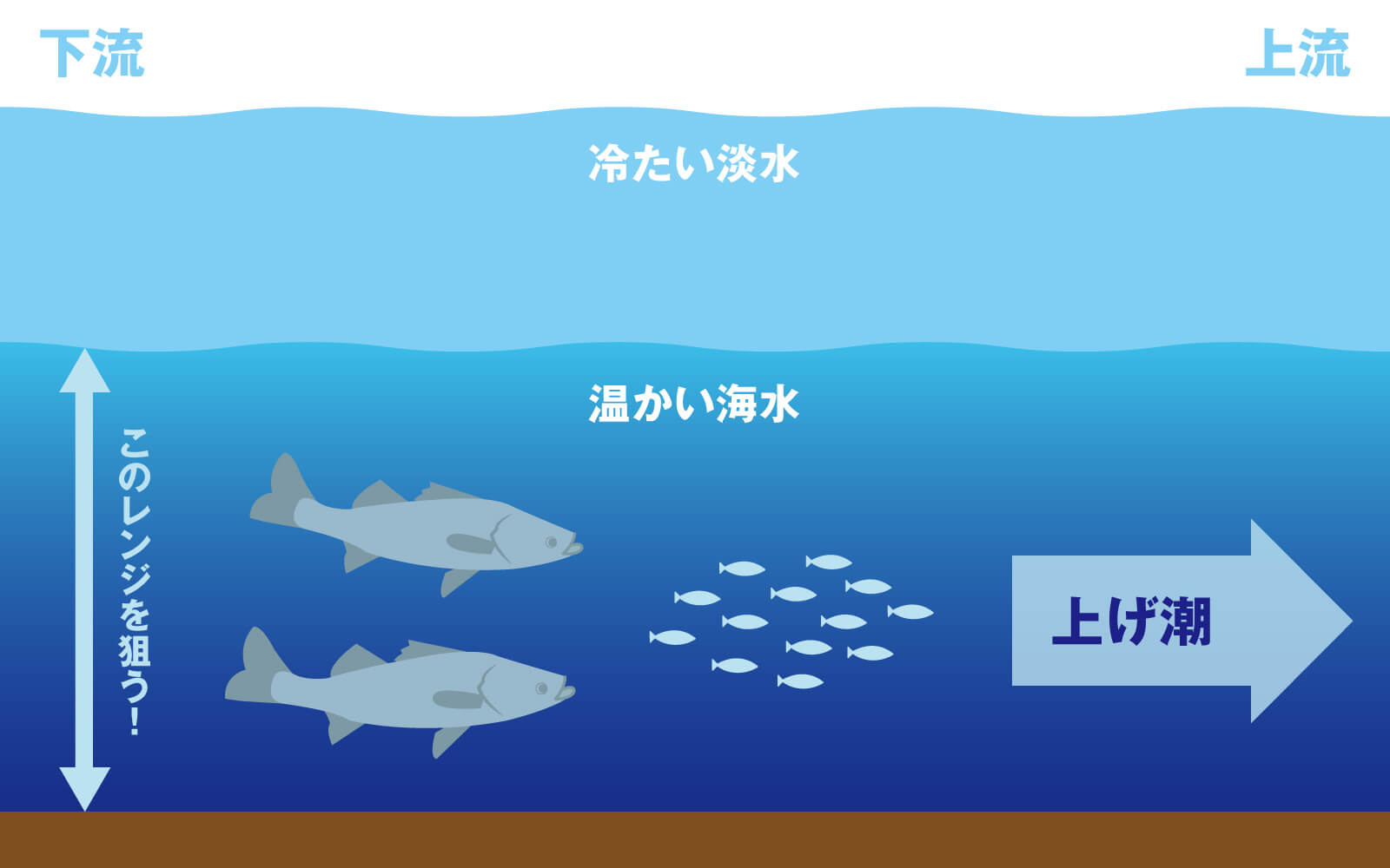 バチ抜けだけじゃもったいない 冬の河川を熱くする上げ潮 アミパターン Ima 公式ブランドサイト オンラインストア