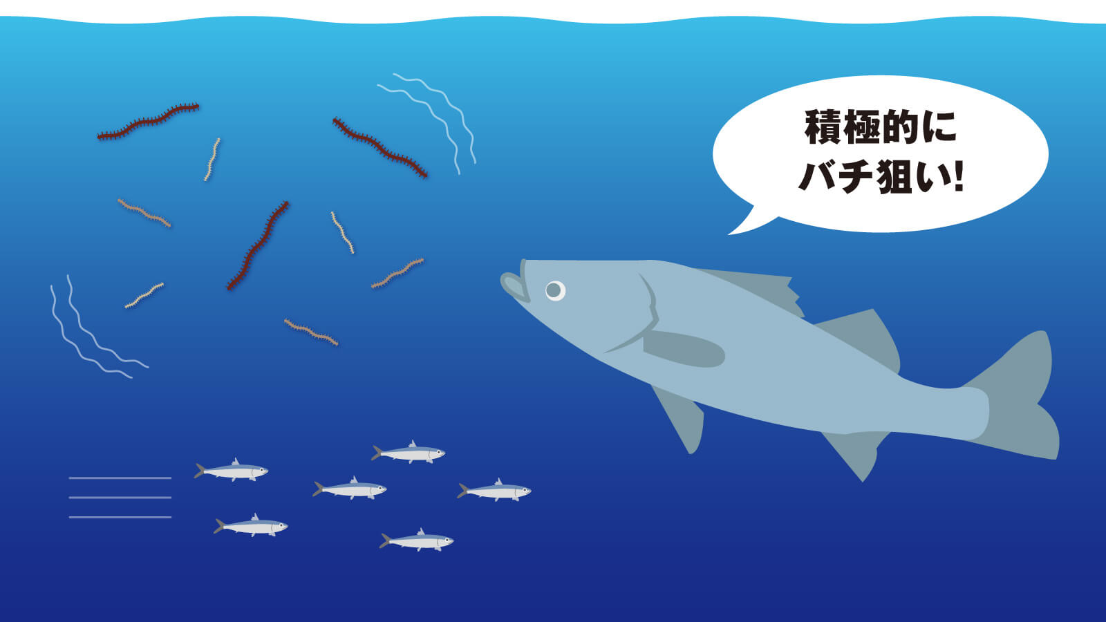 バチ抜けを基礎から学ぶ 大野ゆうきのバチ抜け講座 基本編 Ima 公式ブランドサイト オンラインストア