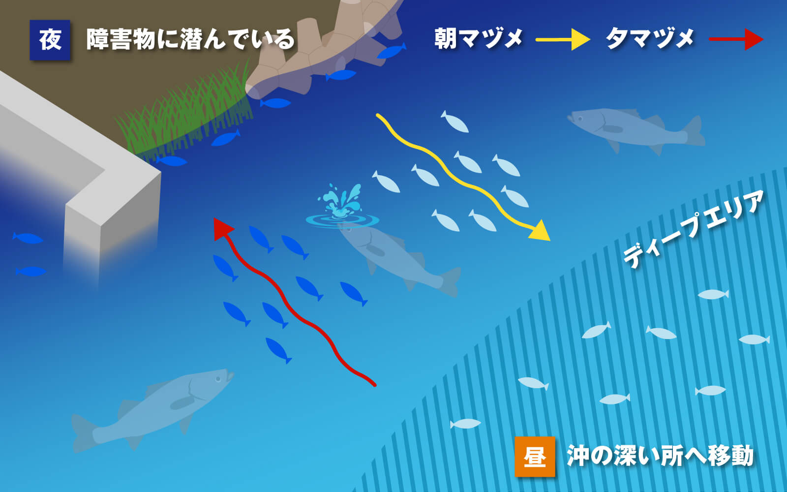 旬季到来 汽水湖 トップシーバス 夏から秋は涸沼で水面飛沫の興奮ゲーム Ima 公式ブランドサイト オンラインストア